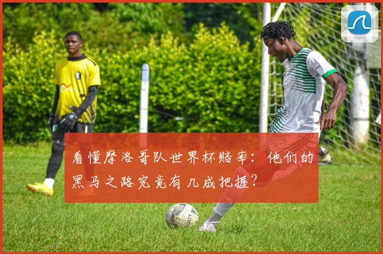 看懂摩洛哥队世界杯赔率：他们的黑马之路究竟有几成把握？