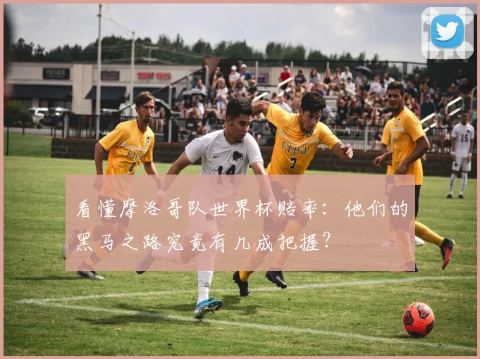 看懂摩洛哥队世界杯赔率：他们的黑马之路究竟有几成把握？
